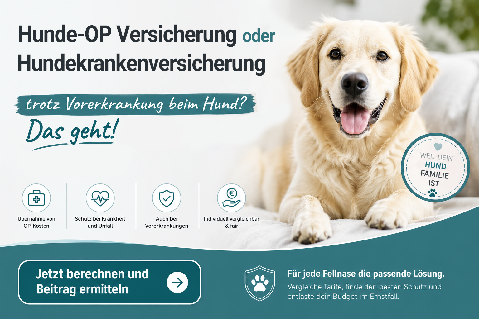 Hundekrankenversicherung trotz Vorerkrankung